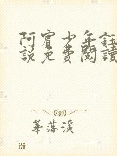 阿宾少年钰慧小说免费阅读笔趣阁