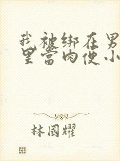 我被绑在男公厕里当肉便小说