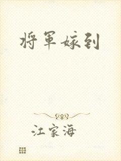 将军嫁到