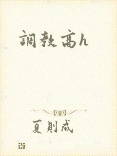 调教高h