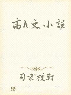 高h文小说封面