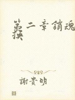 第二章销魂的交换