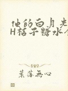 他的白月光HVH桔子糖水全文