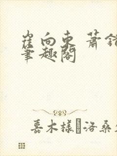 崔向东 萧错 笔趣阁