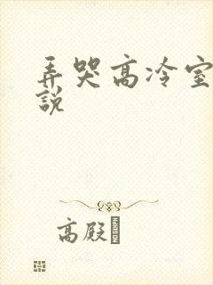 弄哭高冷室友小说