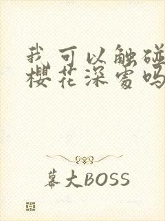 我可以触碰你的樱花深处吗