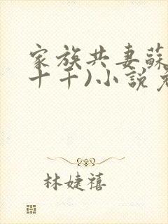 家族共妻苏苏(十千)小说免费