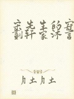 宋先生的宠妻计划轩家沐言