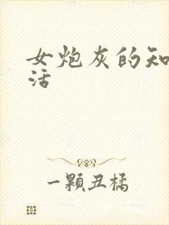 女炮灰的知青生活