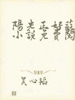 阳光正好苏玥玥小说免费阅读