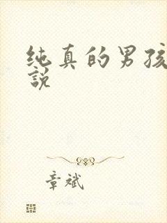 纯真的男孩子小说