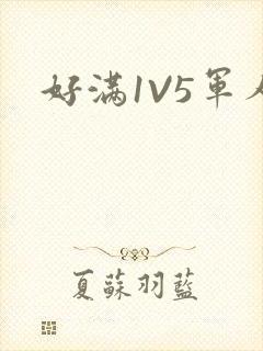 好满1V5军人
