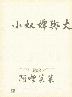 小奴婢与大少爷