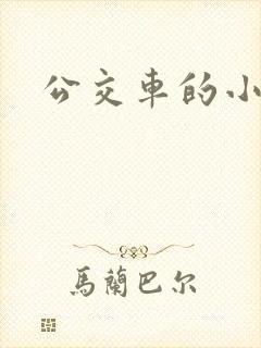 公交车的小说