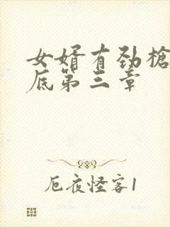 女婿有劲枪枪到底第三章