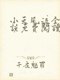 小天风流全集小说免费阅读