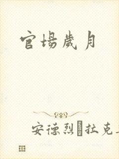 官场岁月