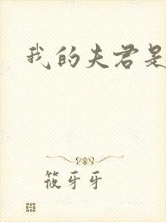 我的夫君是冥王