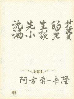 沈先生的花式调酒小说免费阅读