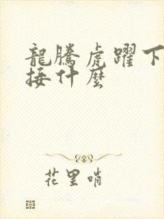 龙腾虎跃下一句接什么