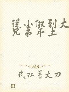 从小做到大骨科兄弟年上