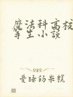 魔法科高校的劣等生小说