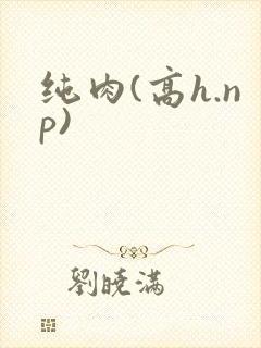 纯肉(高h.np)