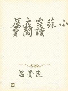 厉夜霆苏小汐免费阅读