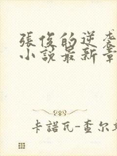 张俊的逆袭之路小说最新章节