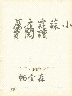 厉夜霆苏小汐免费阅读