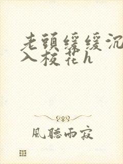 老头缓缓沉腰进入校花h