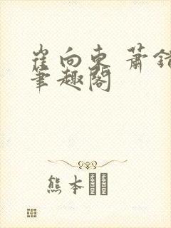 崔向东 萧错 笔趣阁