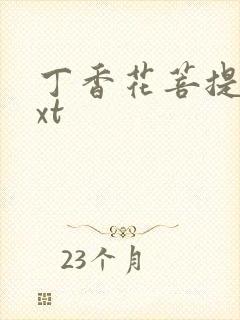 丁香花菩提树txt