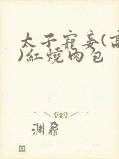 太子宠妾(高肉)红烧肉包