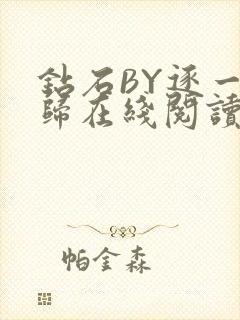 钻石BY逐一而归在线阅读