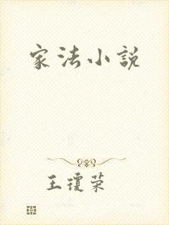 家法小说