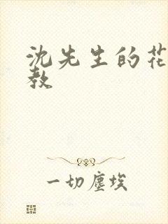 沈先生的花式管教