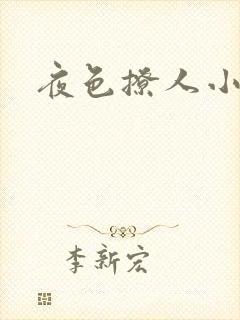 夜色撩人小说
