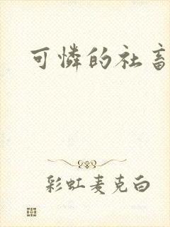 可怜的社畜小说