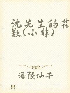 沈先生的花式调数(小非)