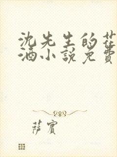 沈先生的花式调酒小说免费阅读