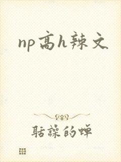 np高h辣文