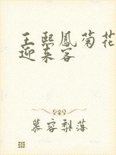 王熙凤菊花门初迎来客