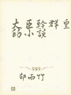 大臣干群皇太后的小说