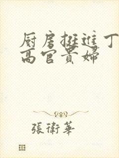 厨房挺进丁字裤高官贵妇