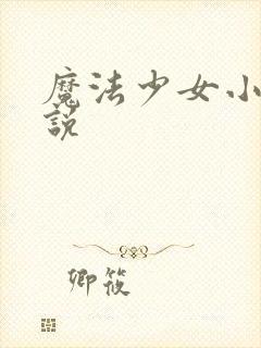魔法少女小圆小说