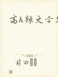 高h辣文合集