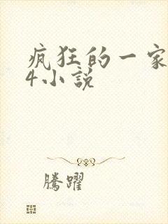 疯狂的一家ps4小说