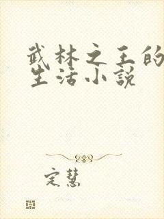 武林之王的退隐生活小说