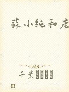 苏小纯和老苏